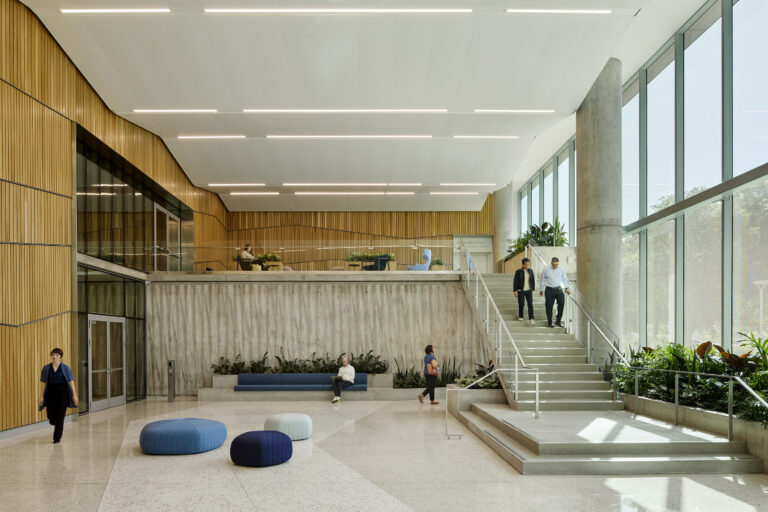 Bright modern atrium with wood-paneled walls, tall windows, concrete stairs, plants, and people walking or sitting.
