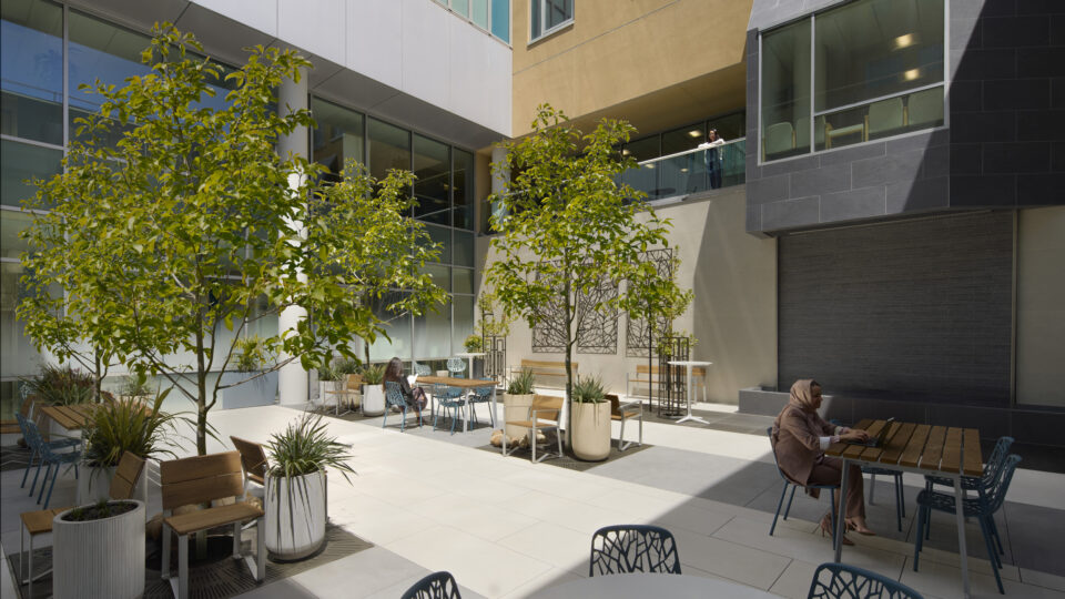Modern apartment courtyard with potted trees, patio tables and chairs, and people working or relaxing in bright sunlight.