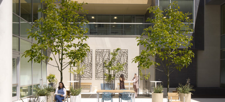Modern indoor courtyard with trees, tables, and seating, where one woman reads and two others stand talking.