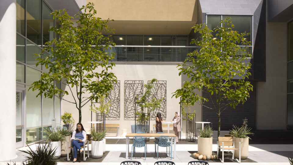 Modern indoor courtyard with trees, tables, and seating, where one woman reads and two others stand talking.