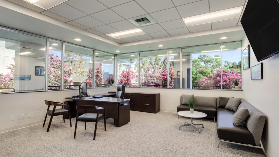 Modern office with desk, chairs, sofa seating, and large corner windows overlooking pink flowering trees