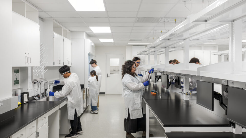 Researchers in white lab coats and blue gloves working at benches in a bright modern laboratory