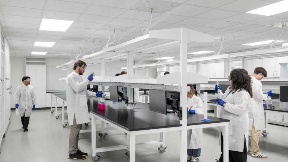 Researchers in white lab coats and blue gloves work at benches in a bright, modern laboratory.