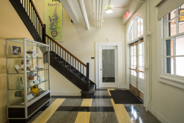 Museum hallway with a staircase, glass display case, and tall arched windows by the entrance door.