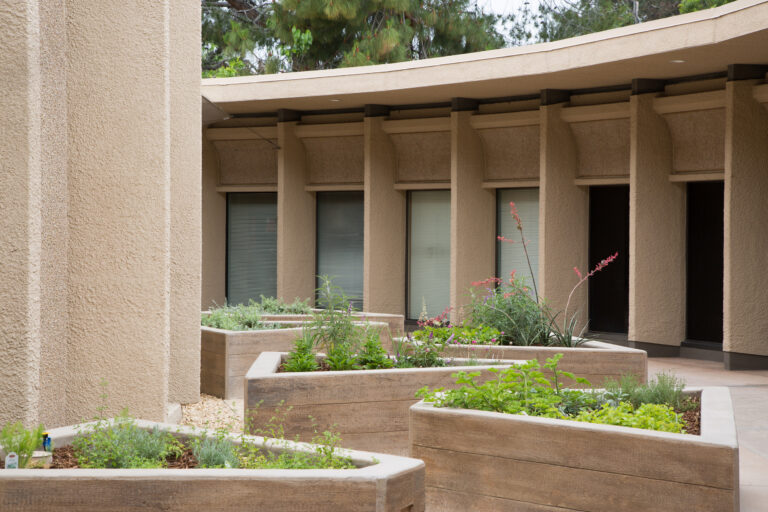 Beige stucco courtyard with raised planters of green and flowering plants beside a curved colonnade building.