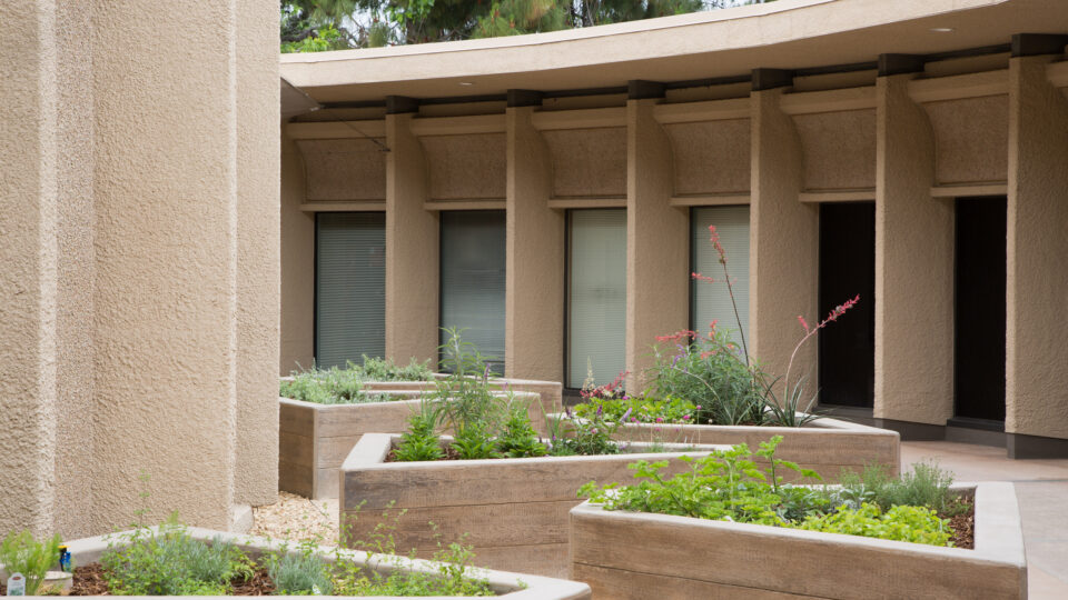 Beige stucco courtyard with raised planters of green and flowering plants beside a curved colonnade building.