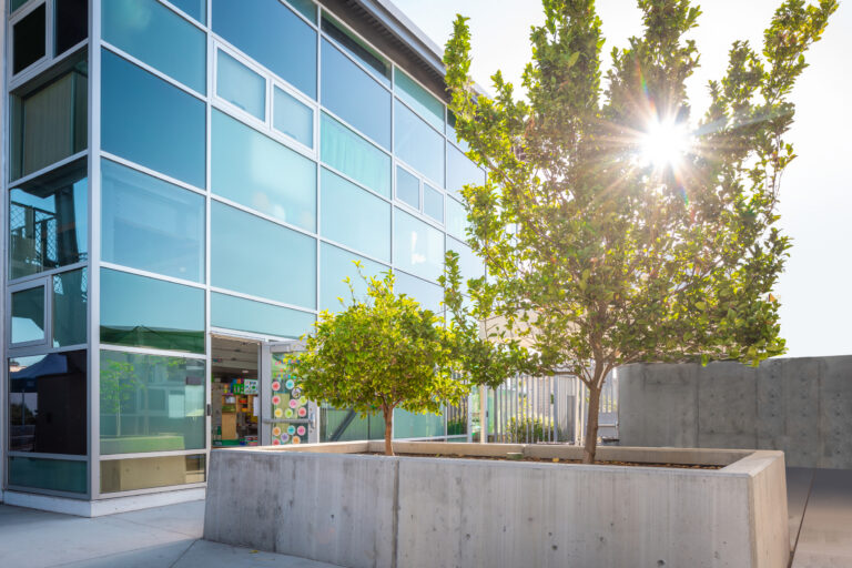 Modern glass building beside a concrete planter with trees, sunlight shining through the leaves.