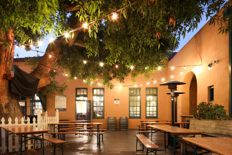Outdoor courtyard with picnic tables beneath a large tree and string lights beside a warm-toned building at dusk
