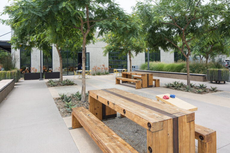 Shaded courtyard with wooden picnic tables, trees, and yellow chairs outside a modern office building.
