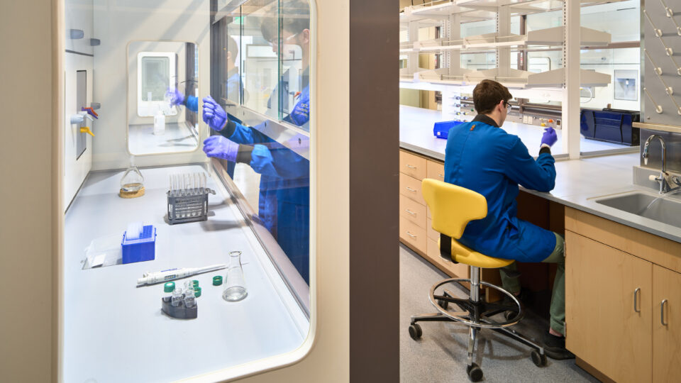 Scientist in a blue lab coat and gloves working at a laboratory bench beside a fume hood with glassware and test tubes