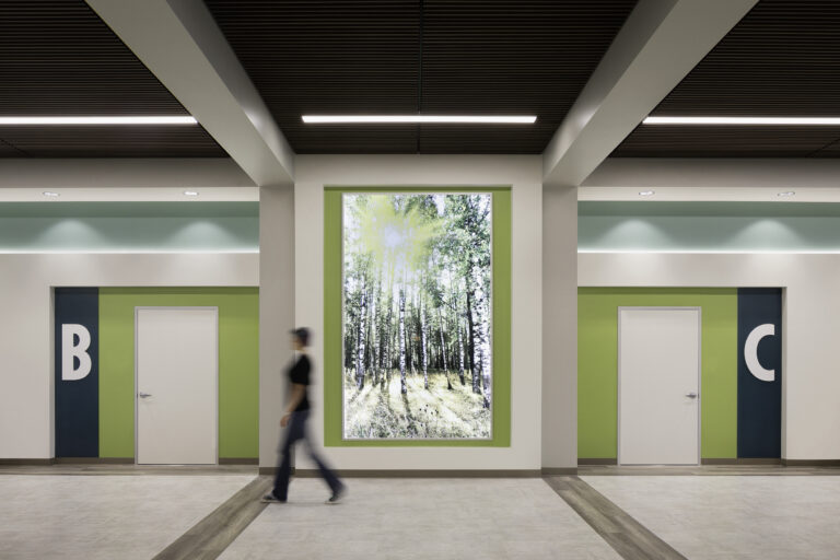 Modern hallway with doors labeled B and C and a large forest mural between them, with a person walking past