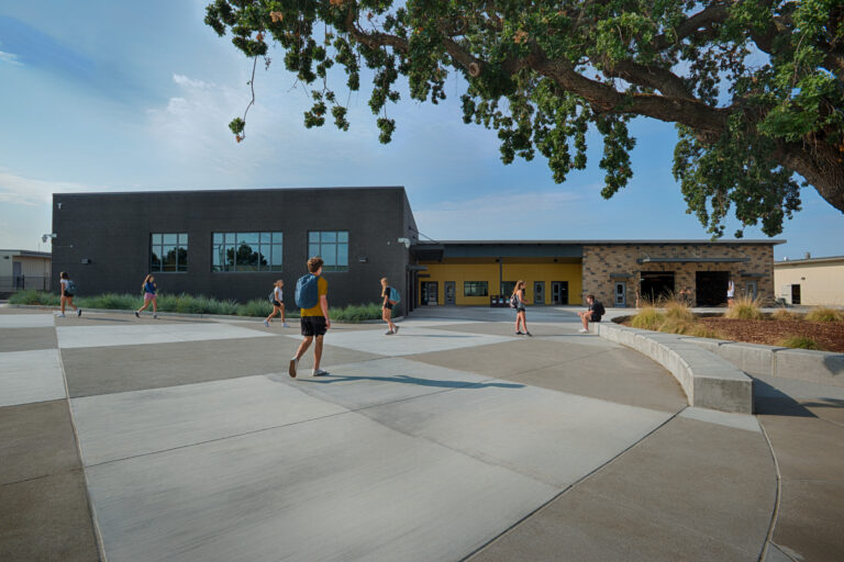 Students walking across a school courtyard beneath a large tree and modern campus buildings