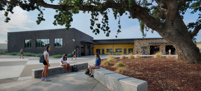 Students sitting and walking in a campus courtyard beneath a large tree beside modern buildings