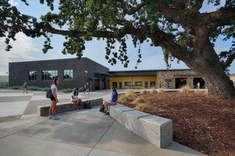 Students sitting and walking in a campus courtyard beneath a large tree beside modern buildings