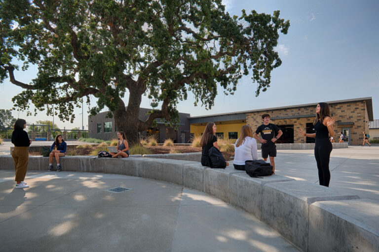 Students socializing on a campus plaza beneath a large tree near modern school buildings
