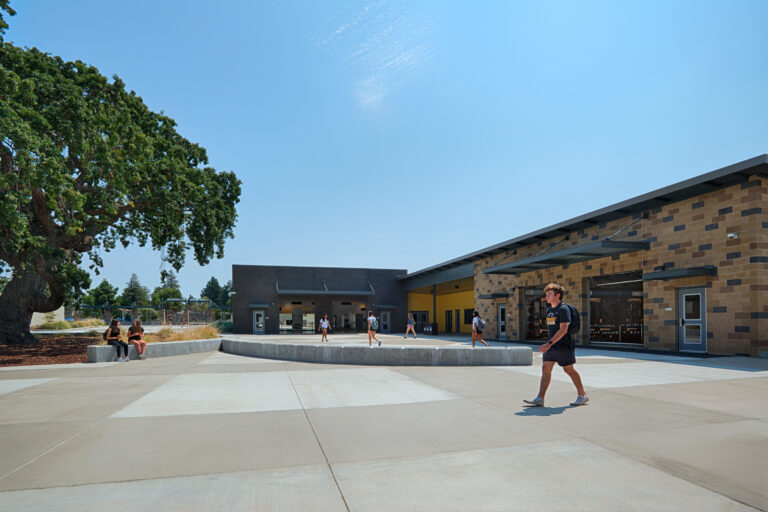 Students walking through a sunny school courtyard beside modern buildings and a large tree