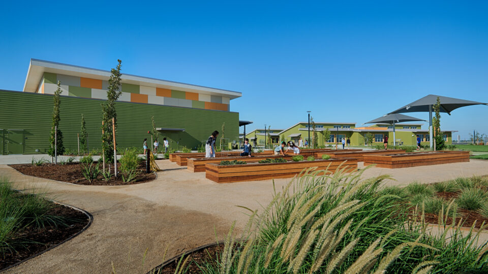 Modern school courtyard with students tending raised garden beds under a clear blue sky