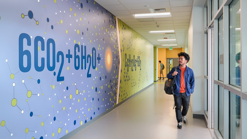 Person walking down a hallway with a colorful science-themed mural reading 600+6H2O+ on the wall
