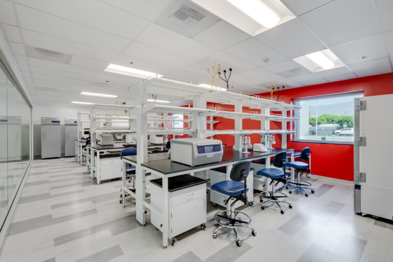 Modern laboratory with white workbenches, blue stools, equipment, and a bright red wall by a large window