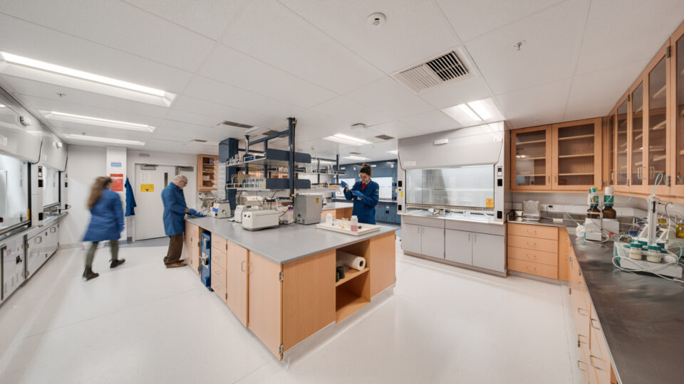 Scientists in blue lab coats working in a modern laboratory with central benches and fume hoods