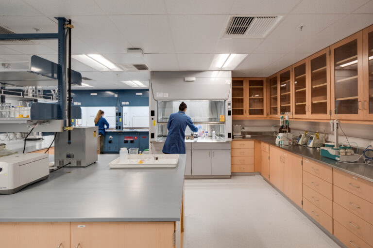 Scientists working in a modern laboratory with fume hoods, cabinets, and lab equipment